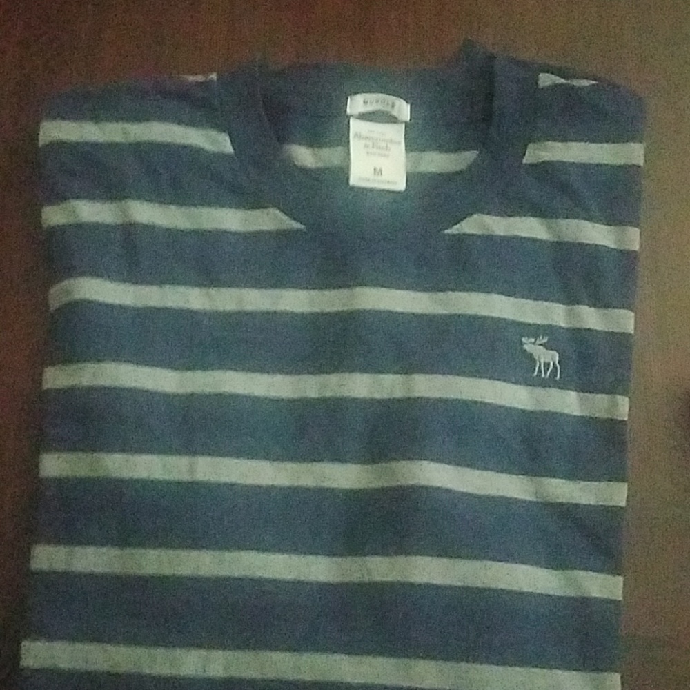 Mens Blue/Gray Stripe Shirt